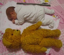 דוב ותינוקת 2011