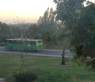אוטובוס 379 יוצא 2013